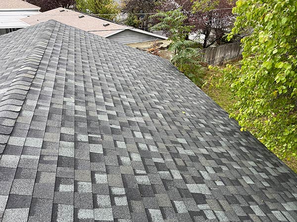 Shingle Roof Installation Services